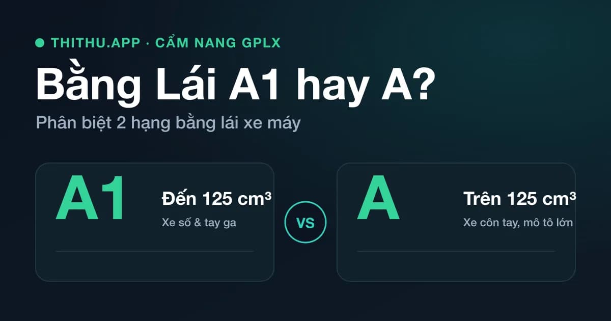 Phân Biệt Bằng Lái Xe A Và A1: Nên Thi Hạng Nào?